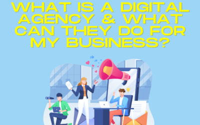 What is a Digital Agency & What Can They Do For My Business?